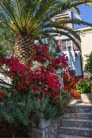 Apartment Julia Veli Lošinj Εξωτερικό φωτογραφία